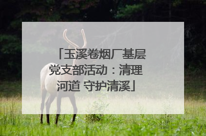 玉溪卷烟厂基层党支部活动：清理河道 守护清溪
