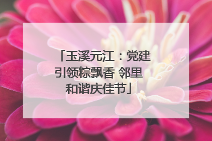 玉溪元江：党建引领粽飘香 邻里和谐庆佳节