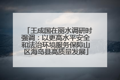 王成国在丽水调研时强调：以更高水平安全和法治环境服务保障山区海岛县高质量发展