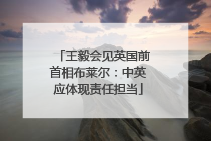 王毅会见英国前首相布莱尔：中英应体现责任担当