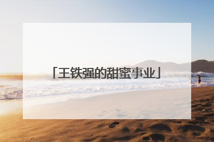 王铁强的甜蜜事业