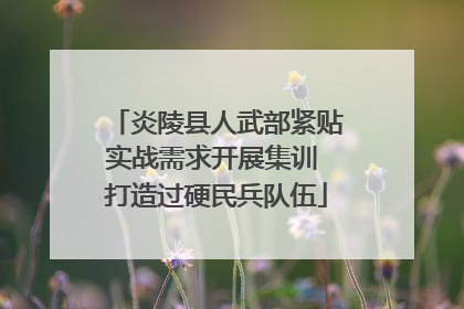 炎陵县人武部紧贴实战需求开展集训 打造过硬民兵队伍