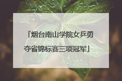 烟台南山学院女乒勇夺省锦标赛三项冠军