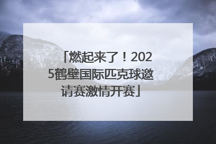 燃起来了！2025鹤壁国际匹克球邀请赛激情开赛