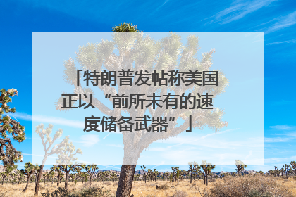 特朗普发帖称美国正以“前所未有的速度储备武器”