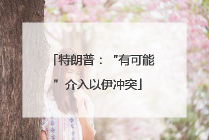特朗普：“有可能”介入以伊冲突