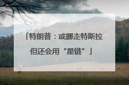 特朗普：或挪走特斯拉 但还会用“星链”
