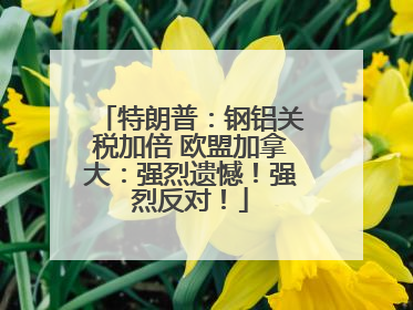 特朗普：钢铝关税加倍 欧盟加拿大：强烈遗憾！强烈反对！
