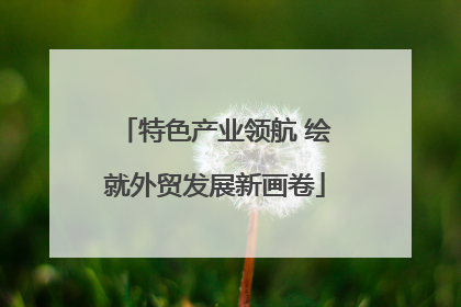 特色产业领航 绘就外贸发展新画卷