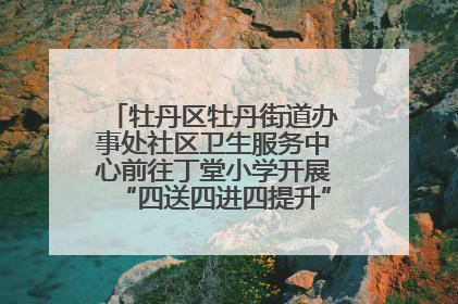 牡丹区牡丹街道办事处社区卫生服务中心前往丁堂小学开展“四送四进四提升”及无烟日宣传活动