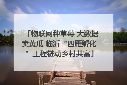 物联网种草莓 大数据卖黄瓜 临沂“四雁孵化”工程链动乡村共富