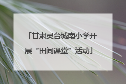 甘肃灵台城南小学开展“田间课堂”活动