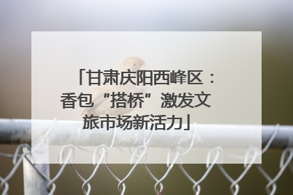 甘肃庆阳西峰区：香包“搭桥”激发文旅市场新活力