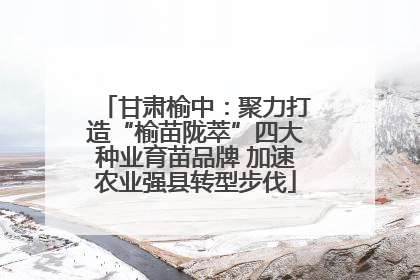 甘肃榆中：聚力打造“榆苗陇萃”四大种业育苗品牌 加速农业强县转型步伐