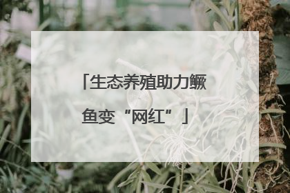 生态养殖助力鳜鱼变“网红”