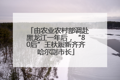 由农业农村部调赴黑龙江一年后，“80后”王杕履新齐齐哈尔副市长
