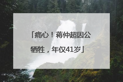痛心！蒋仲超因公牺牲，年仅41岁