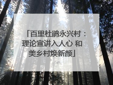 百里杜鹃永兴村：理论宣讲入人心 和美乡村焕新颜