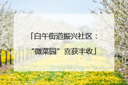 白午街道振兴社区：“微菜园”喜获丰收