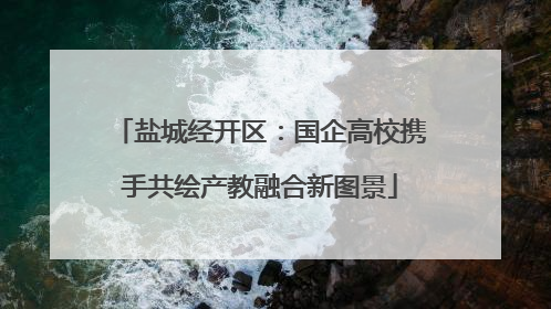 盐城经开区：国企高校携手共绘产教融合新图景