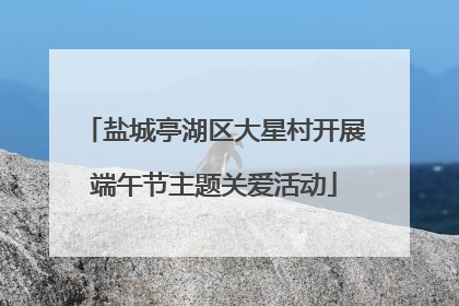 盐城亭湖区大星村开展端午节主题关爱活动