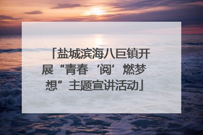 盐城滨海八巨镇开展“青春‘阅’燃梦想”主题宣讲活动