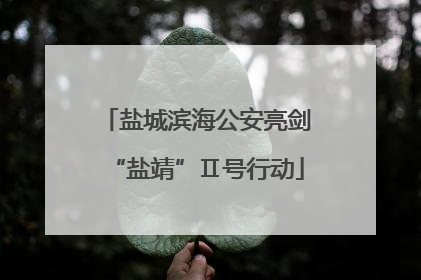盐城滨海公安亮剑“盐靖”Ⅱ号行动