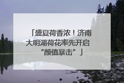 盛夏荷香浓！济南大明湖荷花率先开启“颜值暴击”