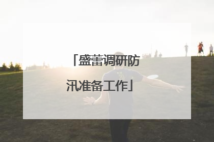 盛蕾调研防汛准备工作