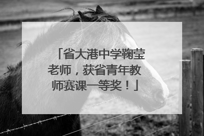 省大港中学鞠莹老师，获省青年教师赛课一等奖！