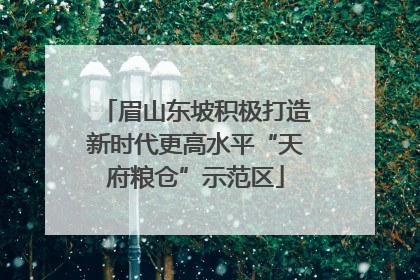 眉山东坡积极打造新时代更高水平“天府粮仓”示范区