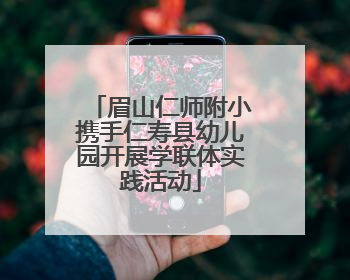 眉山仁师附小携手仁寿县幼儿园开展学联体实践活动