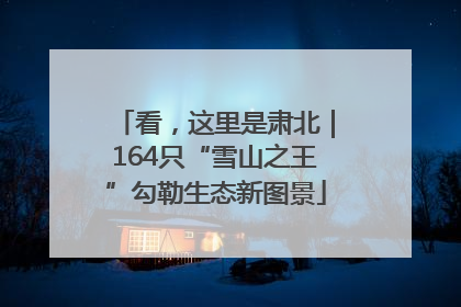 看，这里是肃北｜164只“雪山之王”勾勒生态新图景