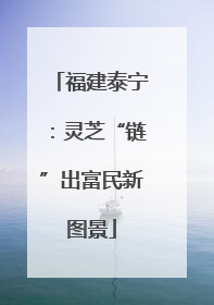 福建泰宁：灵芝“链”出富民新图景