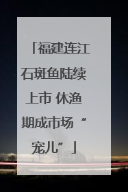 福建连江石斑鱼陆续上市 休渔期成市场“宠儿”