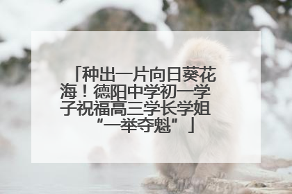 种出一片向日葵花海！德阳中学初一学子祝福高三学长学姐“一举夺魁”
