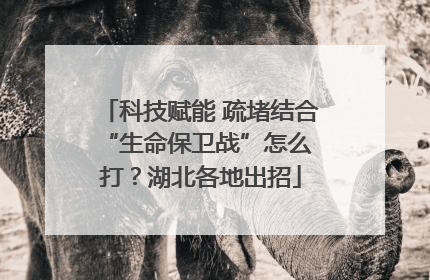 科技赋能 疏堵结合 “生命保卫战”怎么打？湖北各地出招