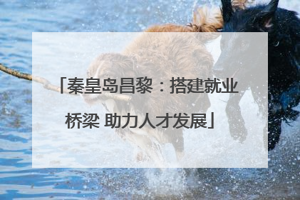 秦皇岛昌黎：搭建就业桥梁 助力人才发展