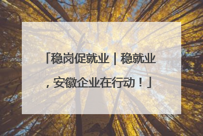 稳岗促就业｜稳就业，安徽企业在行动！
