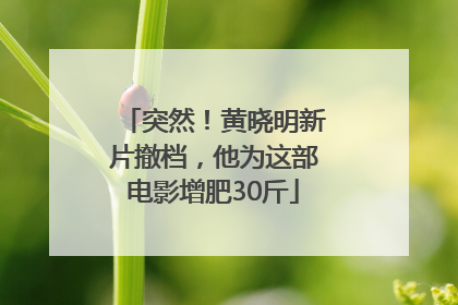 突然！黄晓明新片撤档，他为这部电影增肥30斤