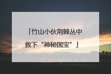 竹山小伙荆棘丛中救下“神秘国宝”