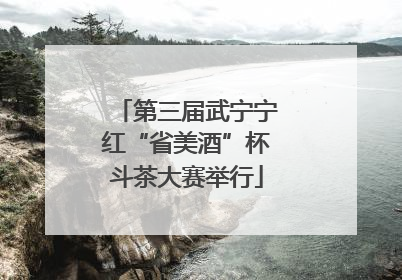 第三届武宁宁红“省美酒”杯斗茶大赛举行