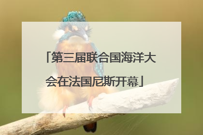 第三届联合国海洋大会在法国尼斯开幕