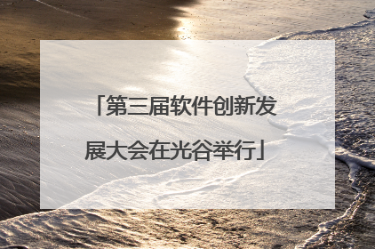 第三届软件创新发展大会在光谷举行