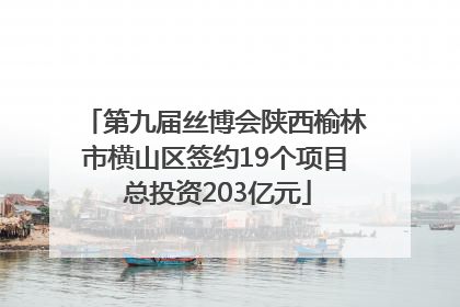 第九届丝博会陕西榆林市横山区签约19个项目 总投资203亿元