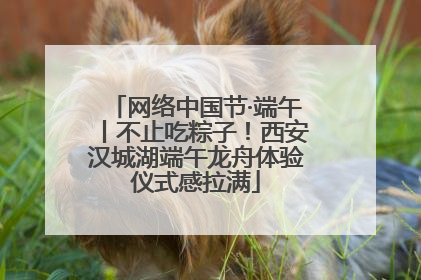 网络中国节·端午丨不止吃粽子！西安汉城湖端午龙舟体验仪式感拉满