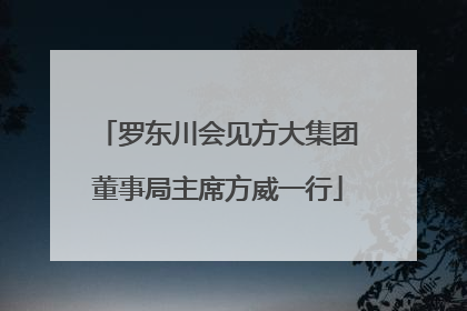 罗东川会见方大集团董事局主席方威一行