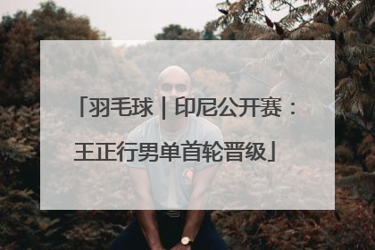 羽毛球｜印尼公开赛：王正行男单首轮晋级