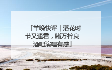 羊晚快评｜落花时节又逢君，睹万梓良酒吧演唱有感