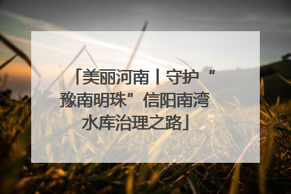 美丽河南丨守护“豫南明珠”信阳南湾水库治理之路